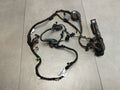 Audi A8 D4 4H DOOR HARNESS RIGHT REAR 4H0971687CH
