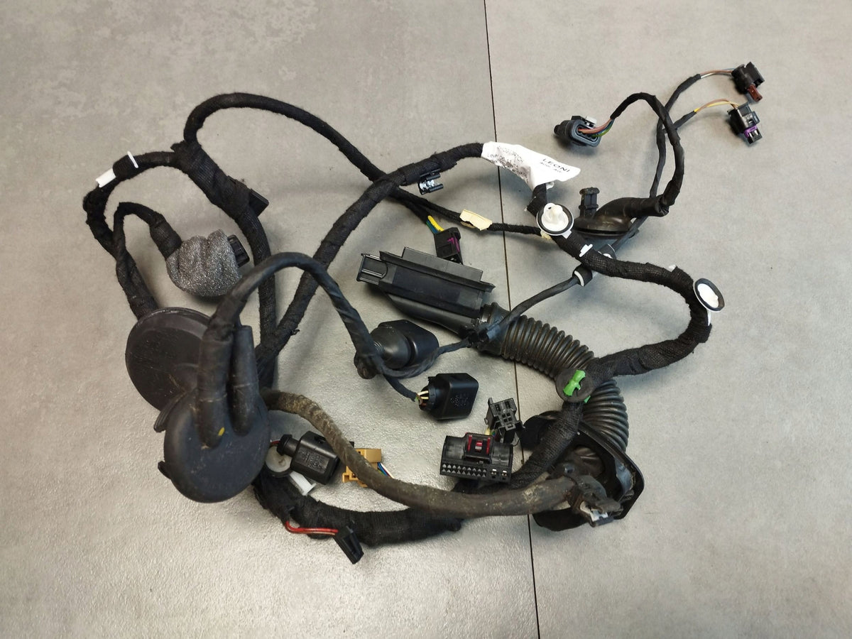 Audi A8 S8 D4 4H DOOR HARNESS LEFT REAR 4H0971687CH
