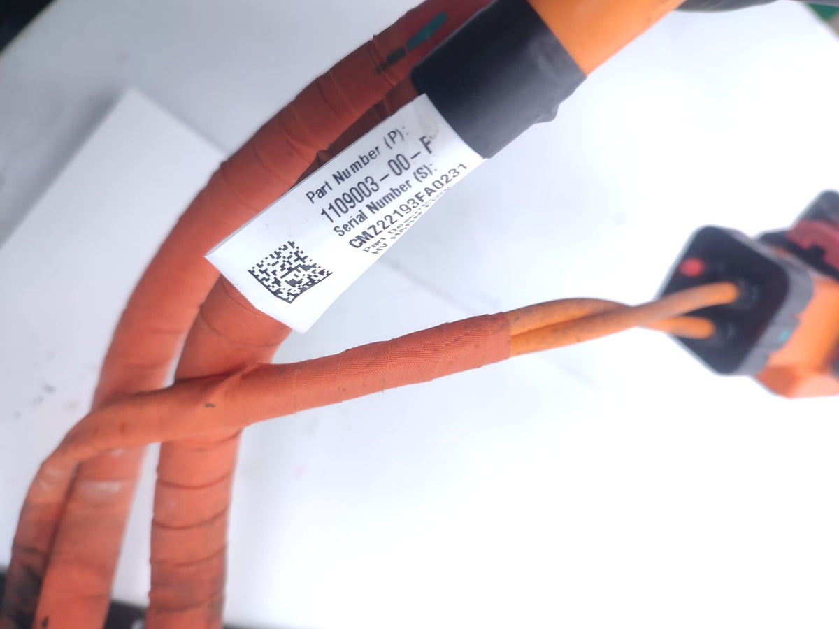BATTERY CABLE TESLA MODEL Y (2019-) LONG RANGE DUAL MOTOR 351KM 110900300F