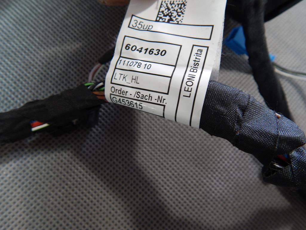 BMW 5 G30 INSTALLATION DOOR HARNESS LEFT REAR 6041630
