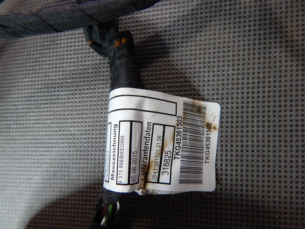 BMW 5 G30 INSTALLATION DOOR HARNESS LEFT REAR 6041630