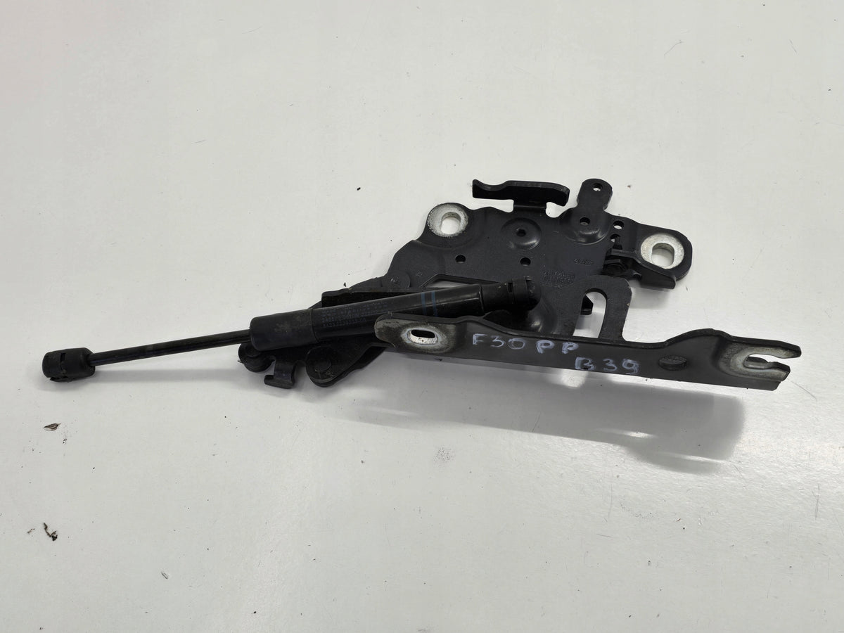 BMW F20 F21 F30 F31 12R MASK HINGE RIGHT B39 7336700