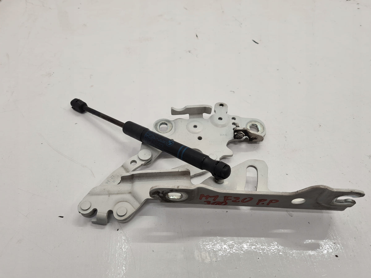BMW F20 F21 F30 F31 MASK HINGE RIGHT 300 7336700