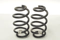 BMW F44 M235i SPRINGS REAR SET