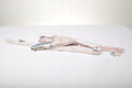 BMW F46 GRAN TOURER CURTAIN AIRBAG RIGHT 7329052