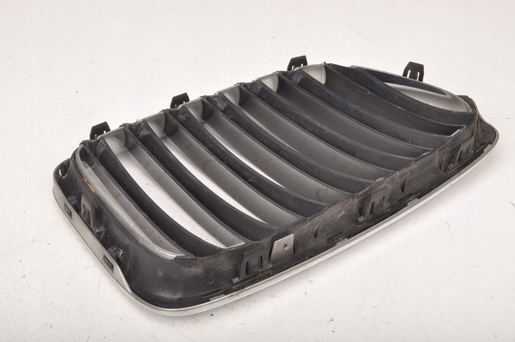 BMW X1 E84 KIDNEY 2993305 2993306 SET