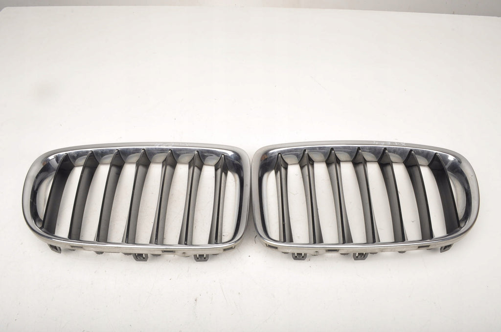 BMW X1 E84 KIDNEY 2993305 2993306 SET