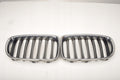 BMW X1 E84 KIDNEY 2993305 2993306 SET