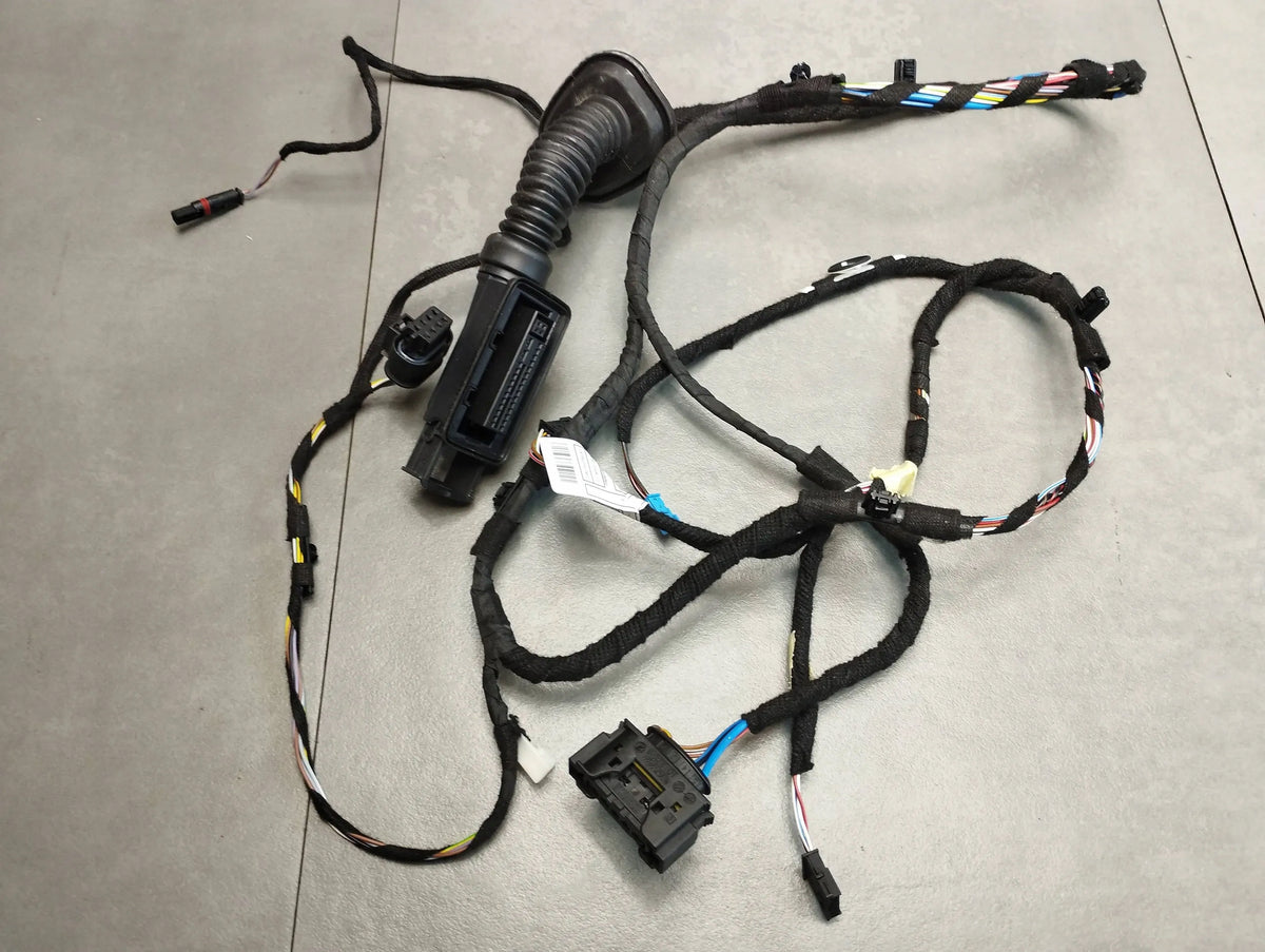 BMW X1 F48 DOOR HARNESS LEFT REAR 6840096