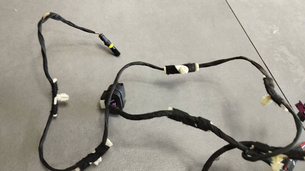 BMW X4M F98 DOOR HARNESS LEFT FRONT 5A226A0