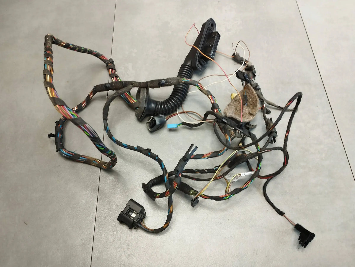 BMW X6 E71 DOOR HARNESS LEFT REAR 9243559