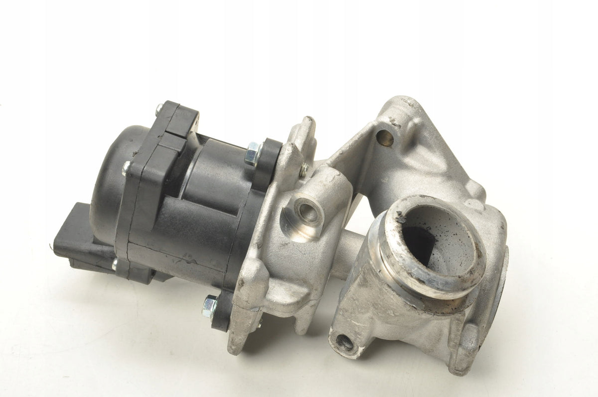 CITROEN C4 Picasso I 1.6 HDI VALVE EGR P0 EG10401