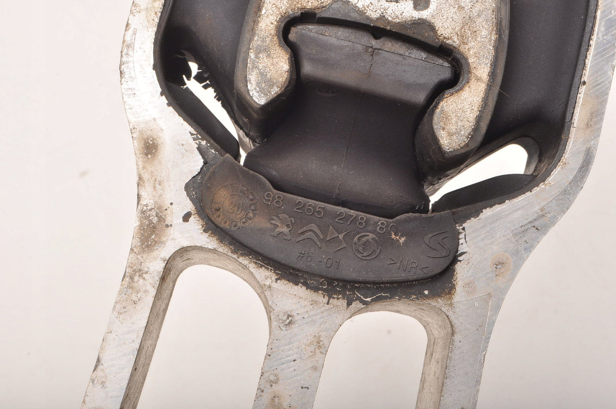 CITROEN DS3 CROSSBACK E-TENSE OPEL CORSA F PAW CUSHION CHEST 9826527880