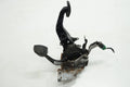 CITROEN DS5 13R PEDAL BRAKE CLUTCH PEDALS SET