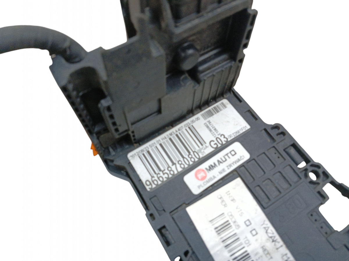 CONTROLLER BATTERY VOLTAGE MODULE PEUGEOT 508 AND 9665878080 G03