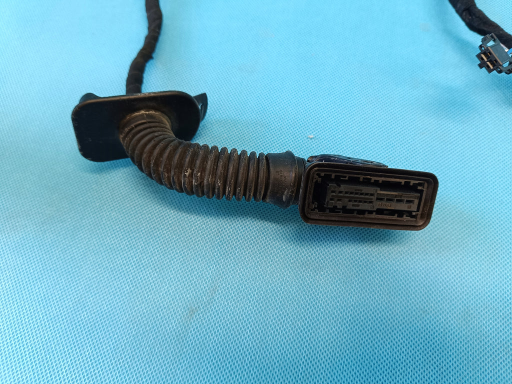 CUPRA FORMENTOR 1.5 TSI 110KW 2023 R DOOR HARNESS LEFT REAR 5FA971161H