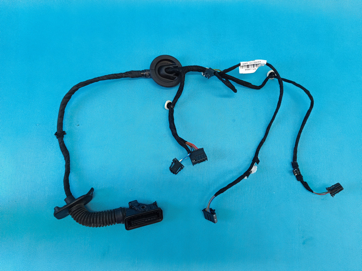 CUPRA FORMENTOR 1.5 TSI 110KW 2023 R DOOR HARNESS LEFT REAR 5FA971161H