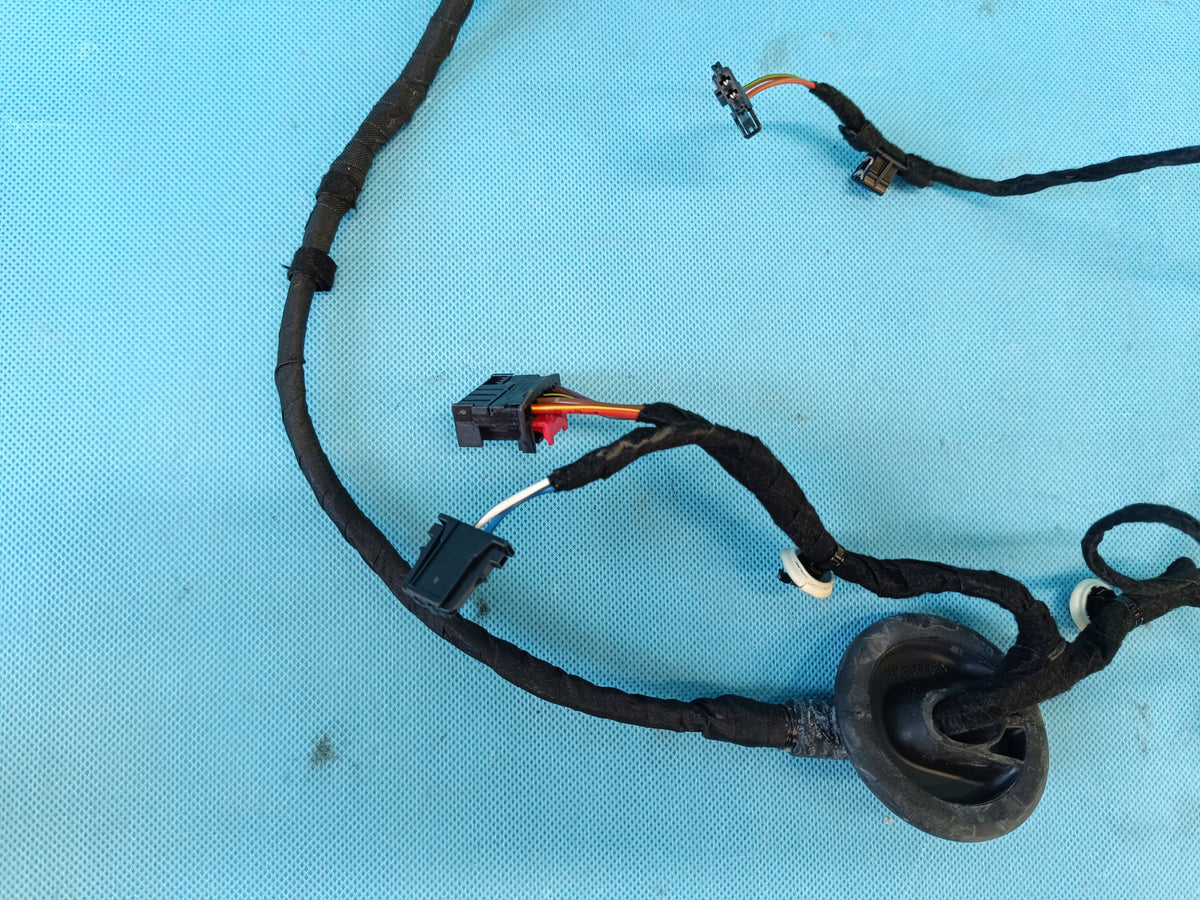 CUPRA FORMENTOR 1.5 TSI 110KW 2023 R DOOR HARNESS RIGHT REAR 5FA971161H