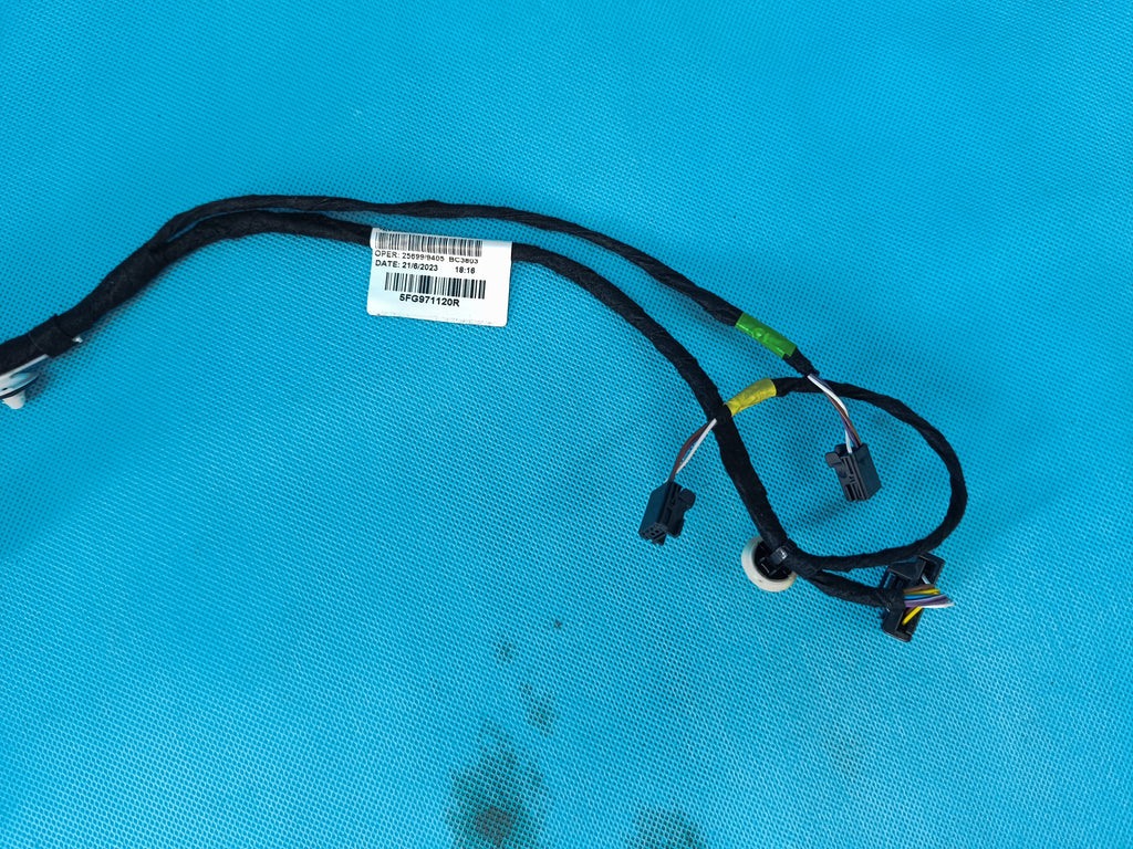 CUPRA FORMENTOR 2.0 TSI 140KW 4x4 2024 R DOOR HARNESS LEFT FRONT 5FG971120R