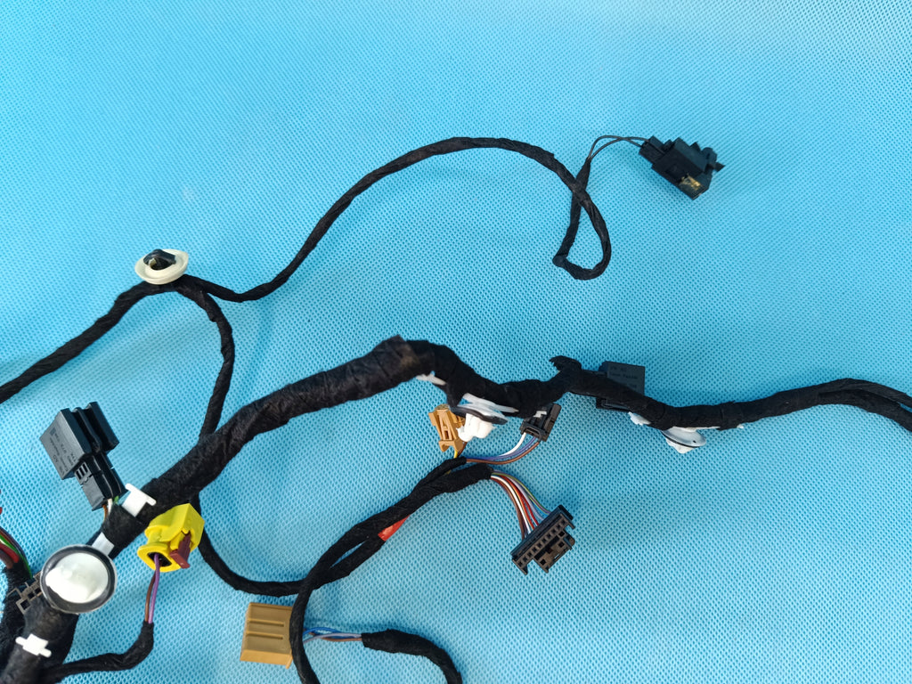 CUPRA FORMENTOR 2.0 TSI 140KW 4x4 2024 R DOOR HARNESS LEFT FRONT 5FG971120R