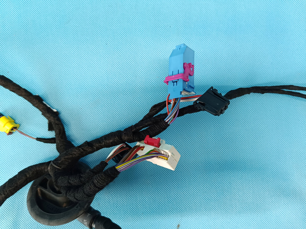CUPRA LEON COMBI 2,0 TFSI 221KW 2023 R DOOR HARNESS LEFT FRONT 5FB971120BH