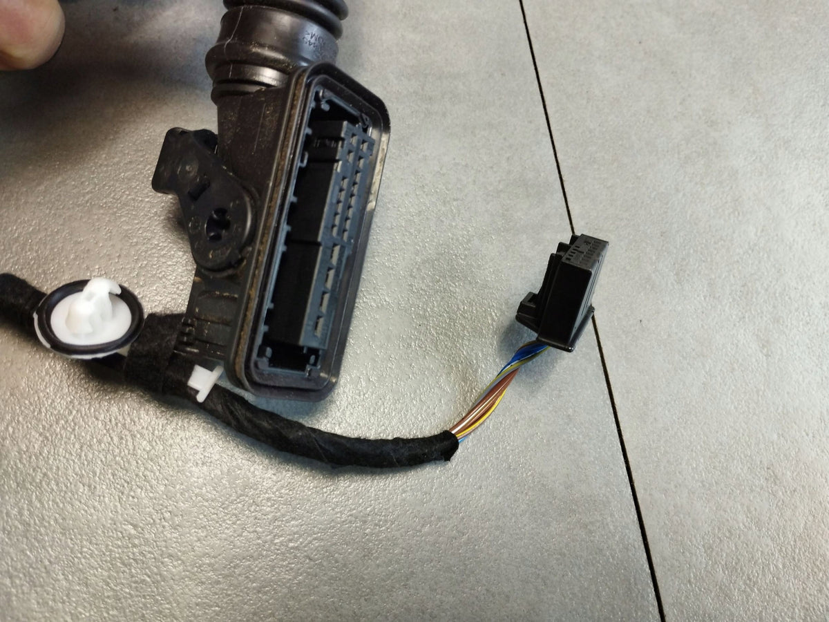 Cupra Formentor Door Harness Left Rear 5FA971161J