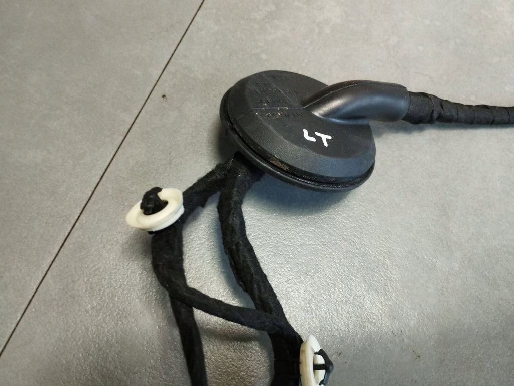 Cupra Formentor Door Harness Left Rear 5FA971161J