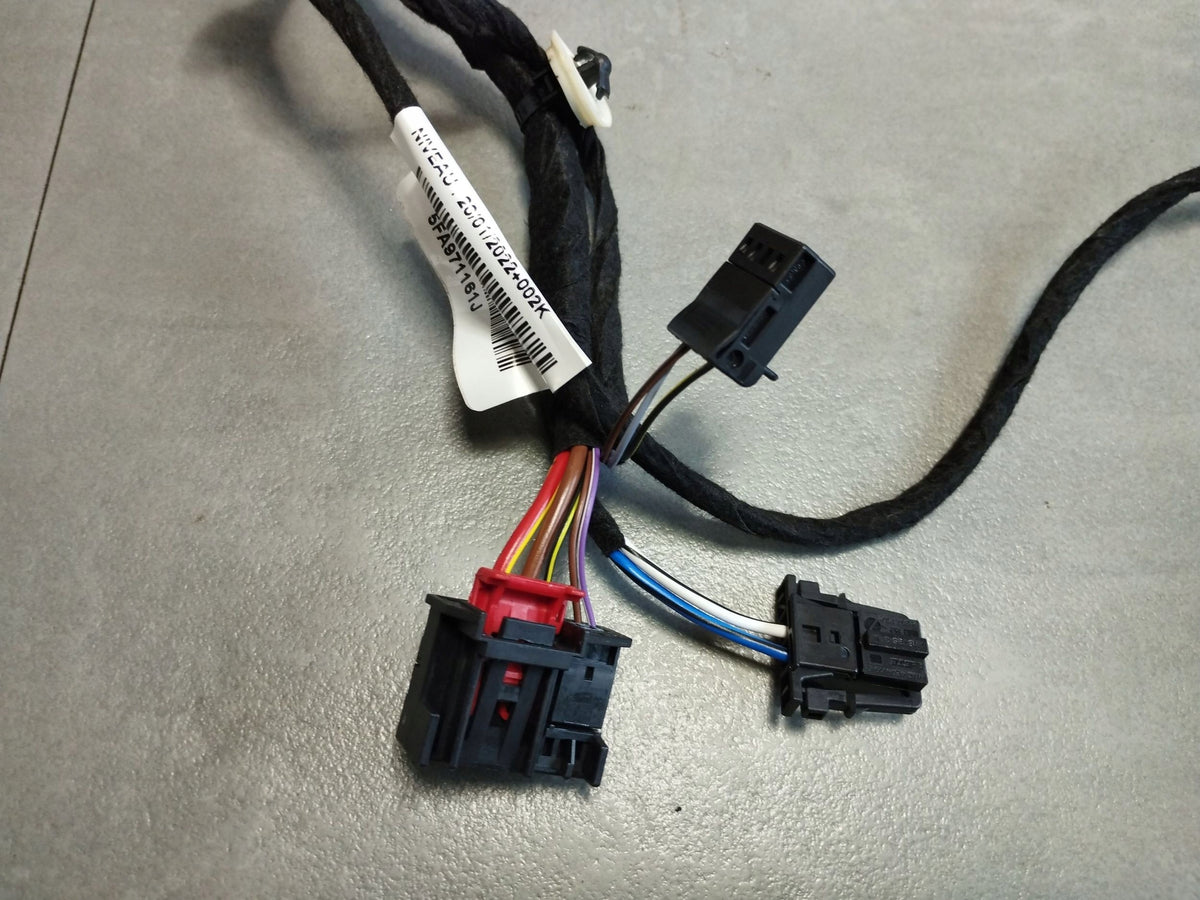 Cupra Formentor Door Harness Left Rear 5FA971161J