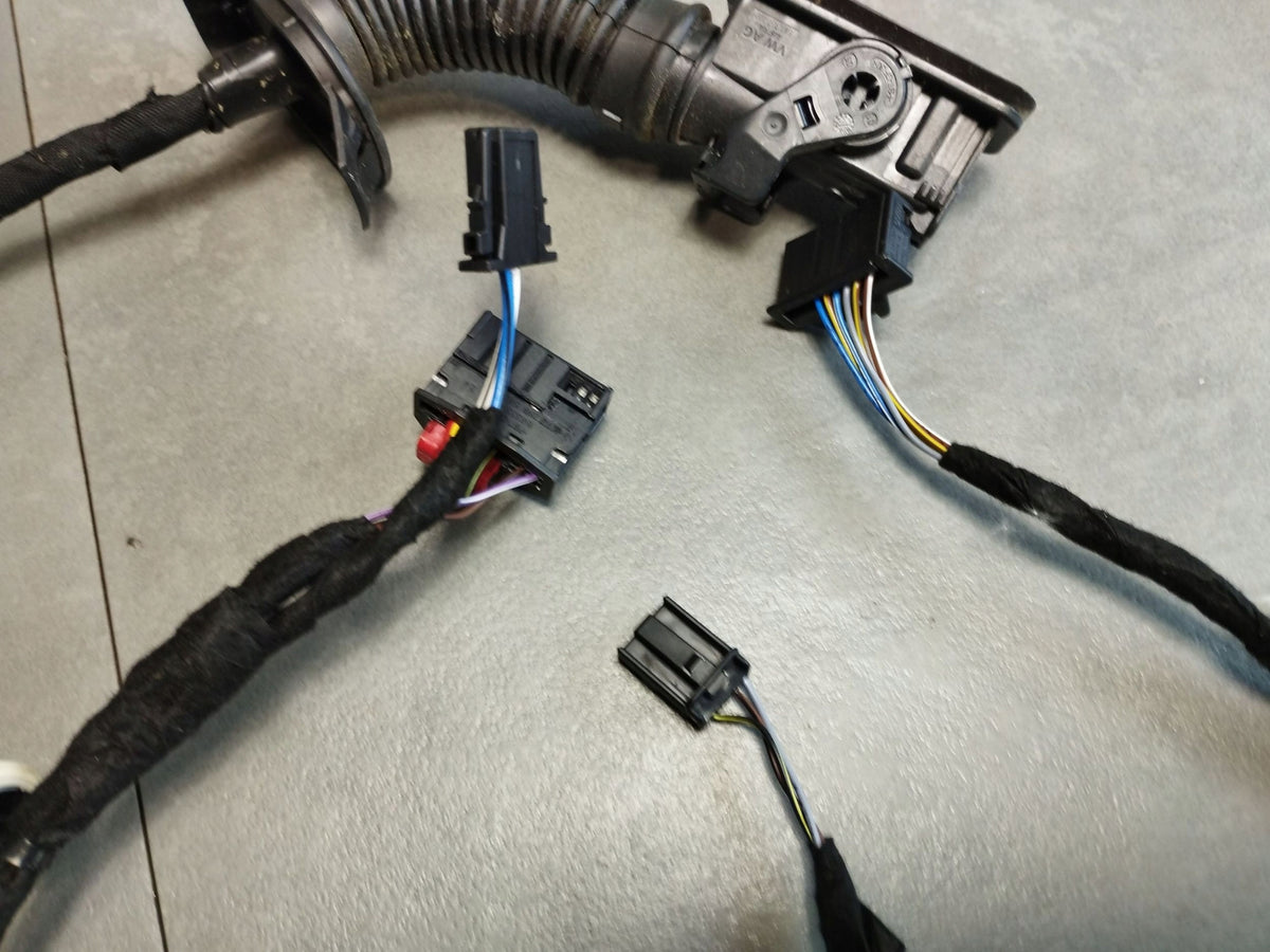 Cupra Formentor Door Harness Right Rear 5FA971161J