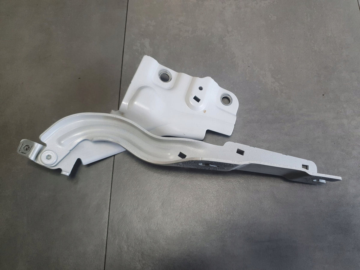 Cupra Terramar Mask hinge right ls9r 578823302