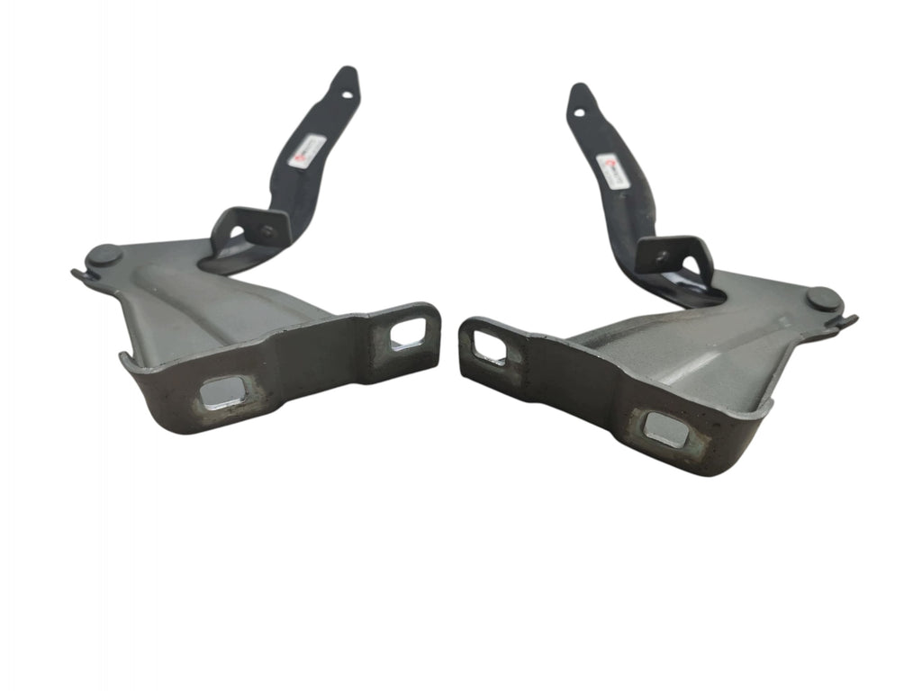 HINGES HINGE MASK SET RENAULT KADJAR LAK: TEGNE 654002708R 654015255R