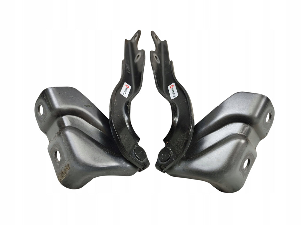 HINGES HINGE RIGHT LEFT MASK SET MAZDA MX-30 DN4ER DN4EL LAK: 46G