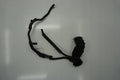 HYUNDAI I40 AIR INTAKE 1.6GDI 28130-3Z100