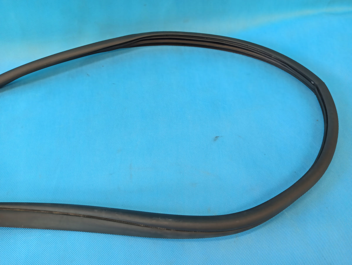 HYUNDAI SANTA FE 4 IV 2.0CRDI 185HP 4x4 2020 R DOOR SEAL LEFT REAR