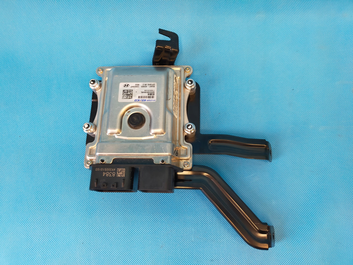 HYUNDAI SANTA FE 4 IV 2.0CRDI 185KM 20R ENGINE CONTROLLER MODULE 95441-4G665