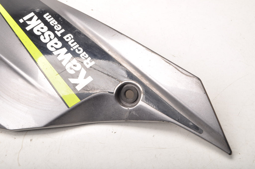 KAWASAKI NINJA BX 125 AKF FAIRING COVER 55028-0483 RIGHT