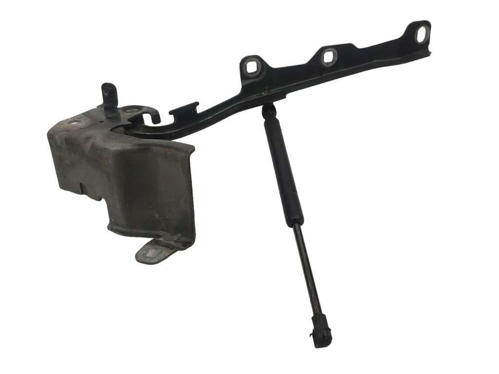 MASK HINGES LEFT RIGHT SET RENAULT LATITUDE COLOR NV676