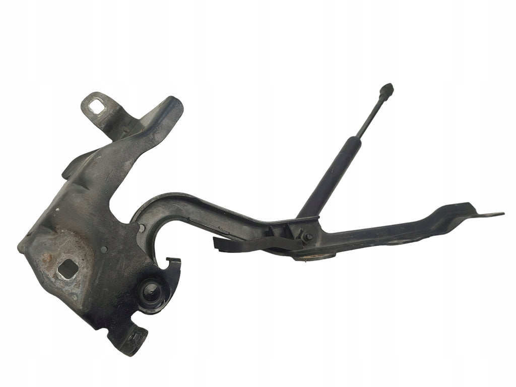 MASK HINGES LEFT RIGHT SET RENAULT LATITUDE COLOR NV676