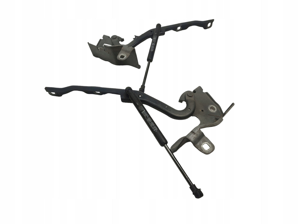 MASK HINGES LEFT RIGHT SET RENAULT LATITUDE COLOR NV676