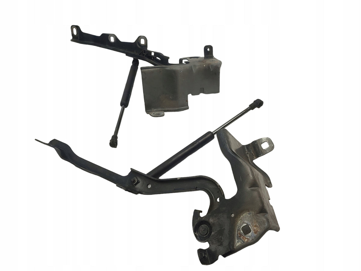 MASK HINGES LEFT RIGHT SET RENAULT LATITUDE COLOR NV676