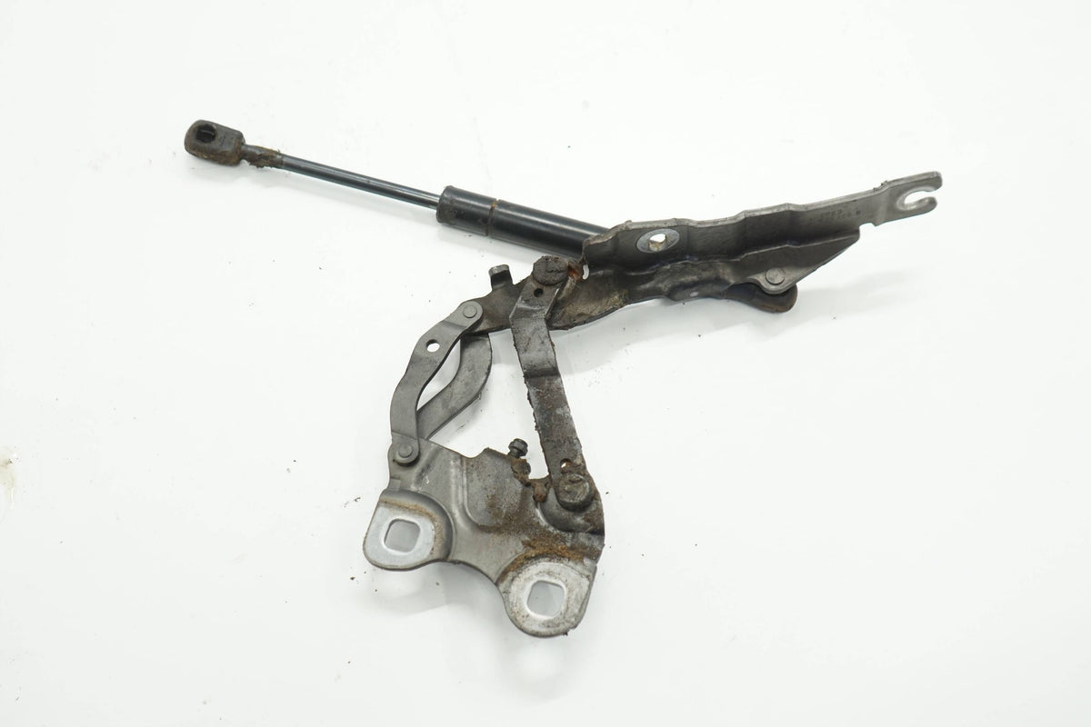 MINI COUNTRYMAN R60 11R MASK HINGE LEFT A48 9801569