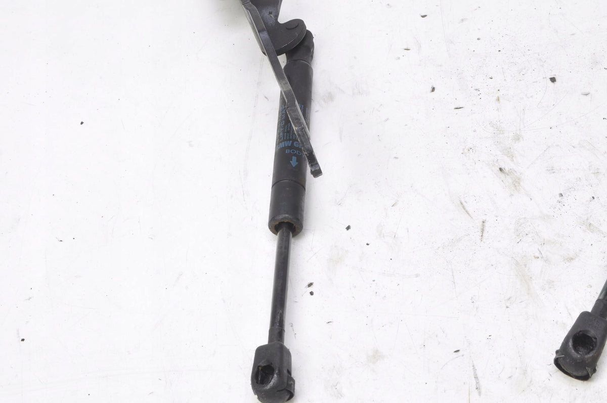 MINI R56 MASK HINGE COMPT