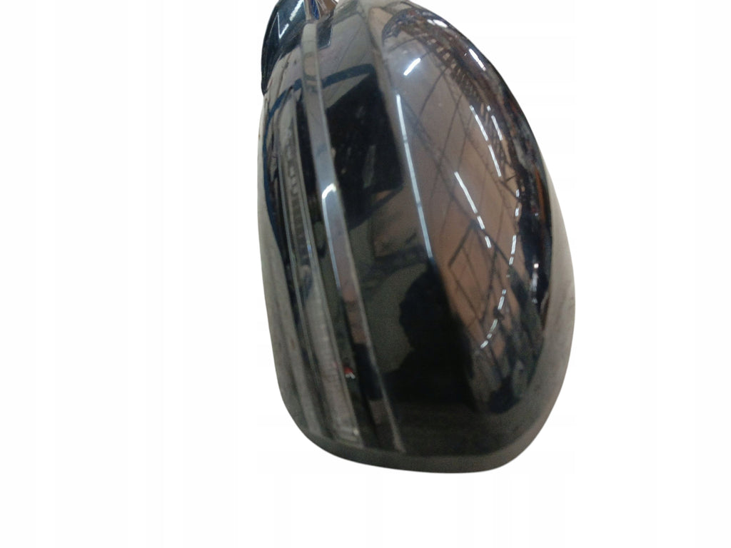 MIRROR LEFT 11 PIN PINS RENAULT TALISMAN LAK: TEGNE (15-20) EUROPE