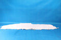 Opel Insignia B CURTAIN LEFT HB 84443850 2018R