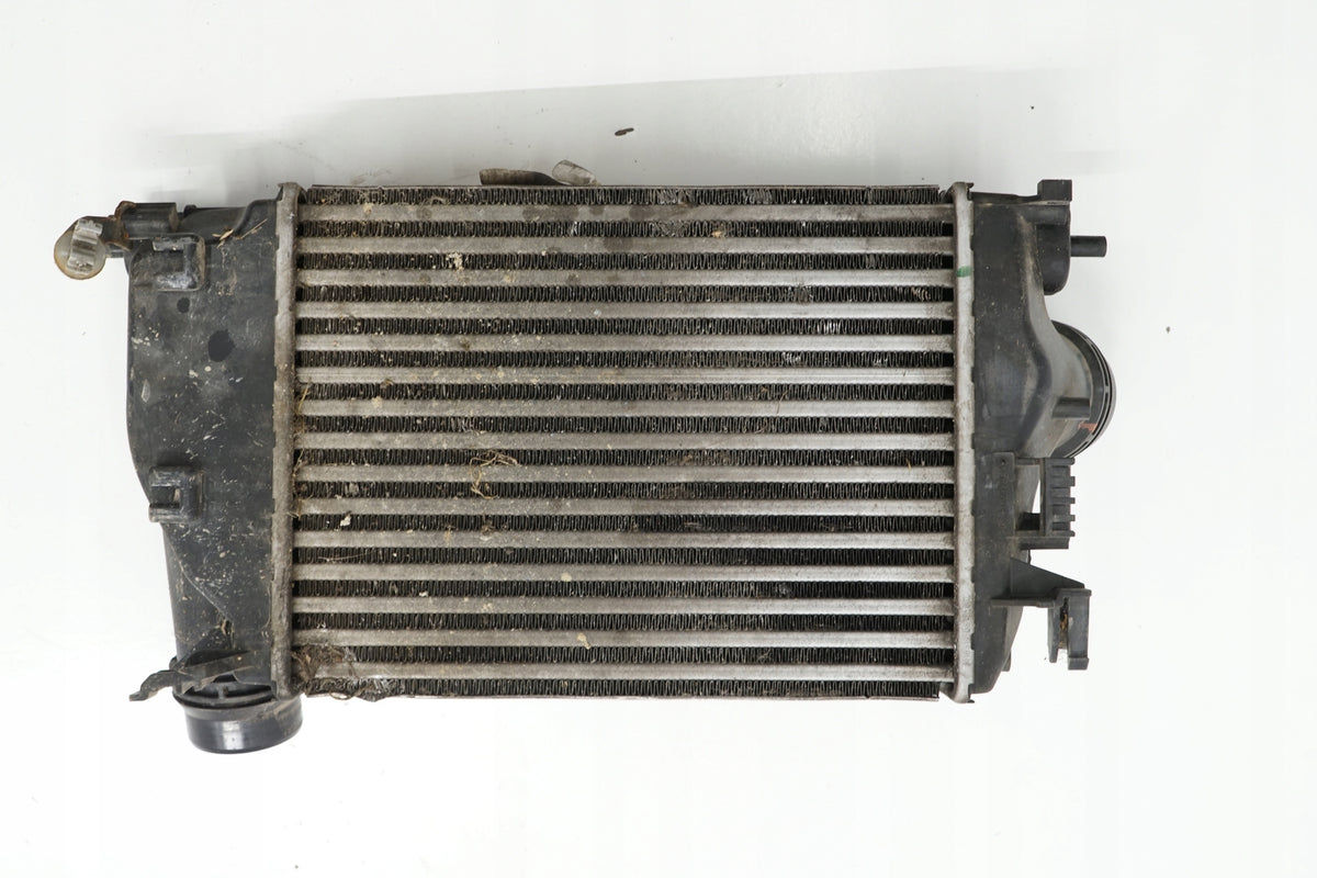 RENAULT MEGANE IV 18R INTERCOOLER 1.2TCE 144614ED0A