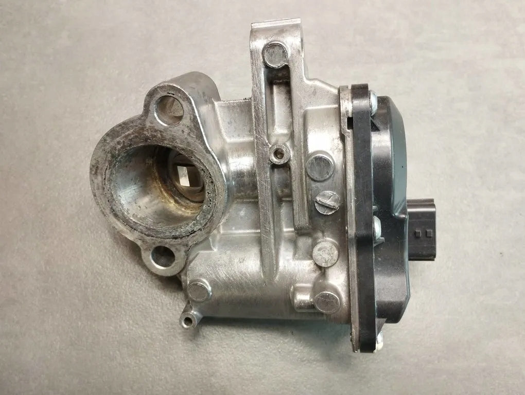 Renault Kadjar THROTTLE EGR 8201068965