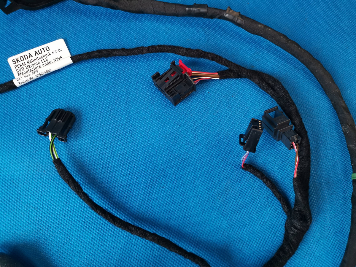 SKODA OCTAVIA 4 IV 2022R 2.0TDI 4X4 110KW DOOR HARNESS LEFT REAR 5E3971693AC