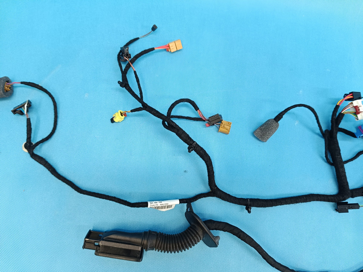 SKODA OCTAVIA IV COMBI 2.0 TFSI 2024 R DOOR HARNESS LEFT FRONT 5E4971120DP