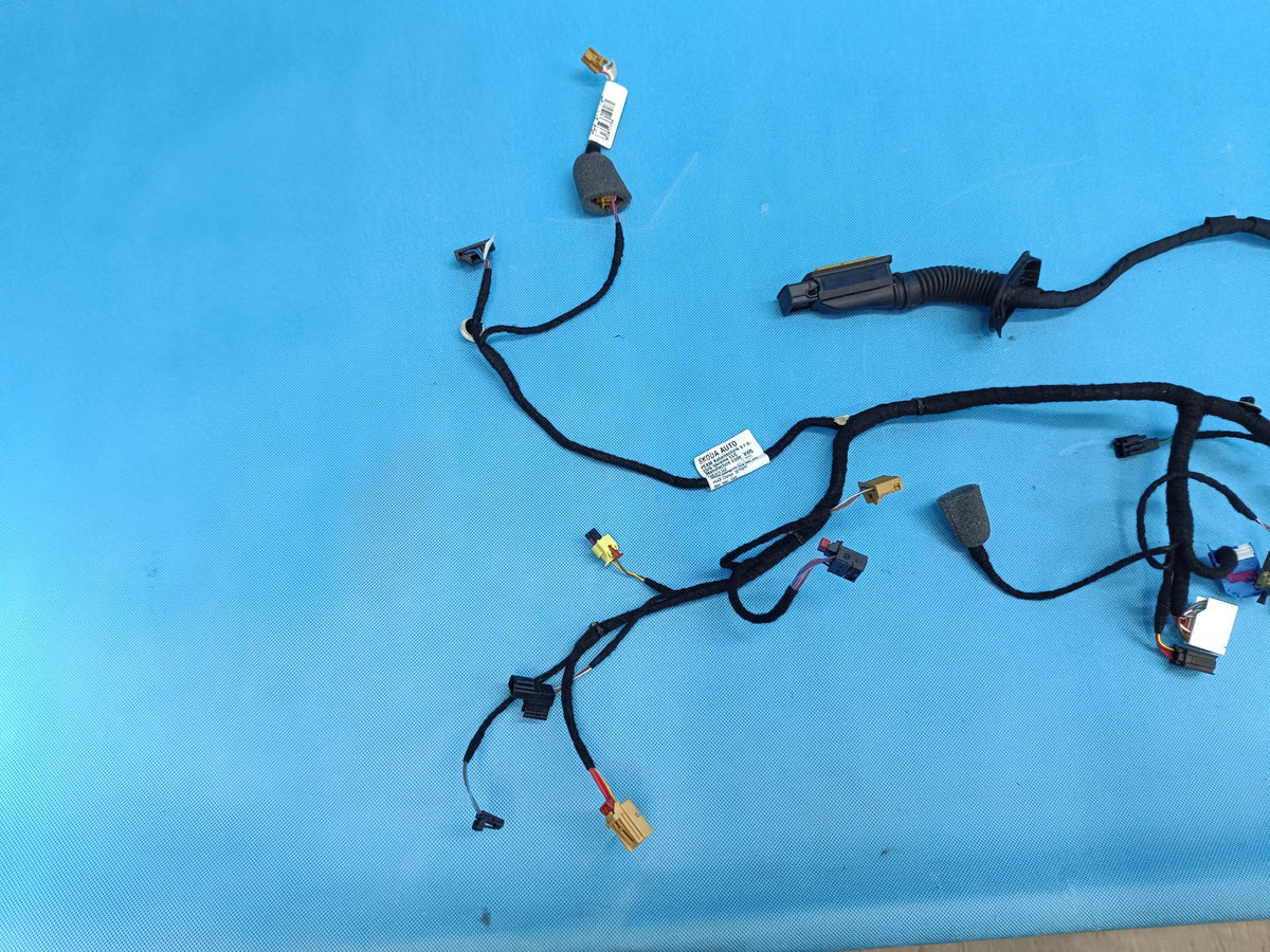 SKODA OCTAVIA IV COMBI 2.0 TFSI 2024 R DOOR HARNESS LEFT FRONT 5E4971120DP