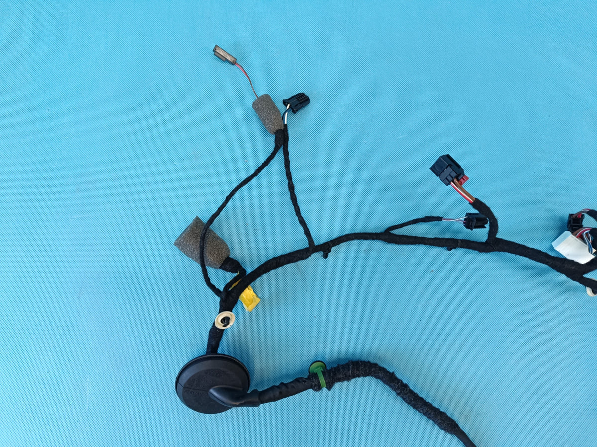 SKODA OCTAVIA IV VRS 2.0 TFSI 195KW 2026R DOOR HARNESS LEFT REAR 5E3971693BN